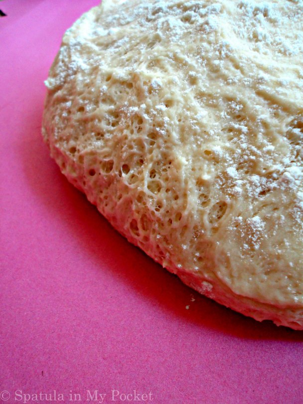 Homemade pizza dough made so simple, with guaranteed perfect results every time! 