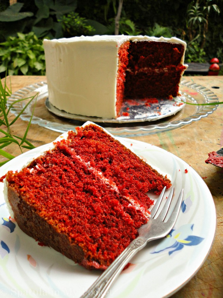 Red Velvet Cake with Whipped Cream Cheese Frosting! Soft and moist; sweet with a hint of tanginess.